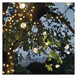 DEBFLEX - DEBFLEX - GUIRLANDE EXTERIEURE DE NOEL AMPOULES BLANC CHAUD 5M - 600615 - vignette