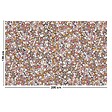 99DECO - Tapis antidérapant - Fragments - vinyle - int./ext. - Multicolore - 120x200cm - vignette