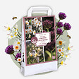PLANT IN A BOX - Coffret Jardin Sec - 35 bulbes pour endroits secs & ensoleillés - vignette
