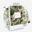 PLANT IN A BOX - Coffret Jardin Humide - 30 bulbes pour endroits humides et pluvieux - vignette