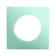 DEBFLEX - DEBFLEX - CASUAL EVO PLAQUE DE FINITION 1 POSTE VERT D'EAU - vignette