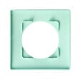 DEBFLEX - DEBFLEX - CASUAL EVO PLAQUE DE FINITION 1 POSTE VERT D'EAU - vignette