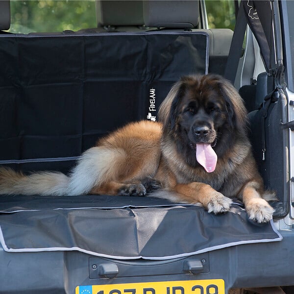 FIDELAMI - protection coffre animaux - large