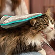 FIDELAMI - gant de toilettage 2en1 - vignette