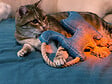 FIDELAMI - doudou mascotte chat fidelami - vignette