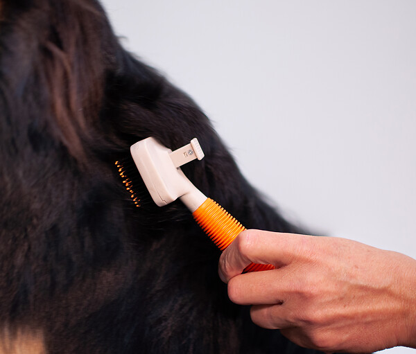 FIDELAMI - brosse nettoyante "push" - large