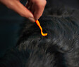 FIDELAMI - kit 2 tire-tiques +2 lingettes - vignette