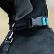 FIDELAMI - collier silencieux turquoise m - vignette