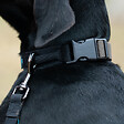 FIDELAMI - collier silencieux gris l - vignette