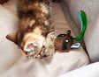FIDELAMI - peluche raton - vignette