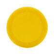 FIDELAMI - frisbee flottant - vignette