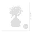 BLOOMIQUE - Bonsaï Zelkova - Forme Sphère - Bonsaï - Plantes d'intérieur - 15 cm de large - H. 20-30 cm - vignette