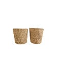 BLOOMIQUE - P. à Plantes Tressé Coco - Lot de 2 Pots - Beige - Jonc de Mer - Panier pour Plantes - vignette