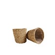 BLOOMIQUE - P. à Plantes Tressé Coco - Lot de 2 Pots - Beige - Jonc de Mer - Panier pour Plantes - vignette
