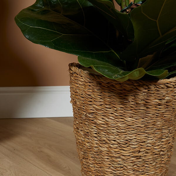BLOOMIQUE - P. à Plantes Tressé Coco - Lot de 2 Pots - Beige - Jonc de Mer - Panier pour Plantes - large