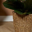 BLOOMIQUE - P. à Plantes Tressé Coco - Lot de 2 Pots - Beige - Jonc de Mer - Panier pour Plantes - vignette