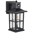 BELIANI - Lampe murale pour l'extérieur AZMAK Avec détecteur de mouvement Noir - vignette