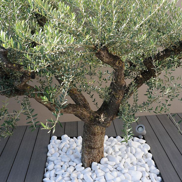 OPTIMBETON - Galet décoratif en marbre blanc - Spécial 40-60 - 20kg - large