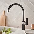 JACOB DELAFON - Robinet cuisine July+ col de cygne et orientable noir mat - vignette