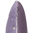 BELIANI - Lot de 2 coussins décoratifs LAVATERA 45 x 45 cm Violet Motif floral - vignette