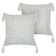 BELIANI - Lot de 2 coussins décoratifs HAKONE 42 x 42 cm Vert menthe Motif géométrique - vignette