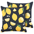 BELIANI - Lot de 2 coussins décoratifs CITRUS 45 x 45 cm Noir Motif de plante - vignette