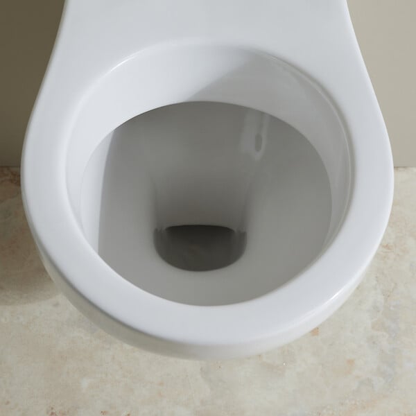 GODART - Cuvette WC suspendu NF avec bride Sydney, abattant simple - large