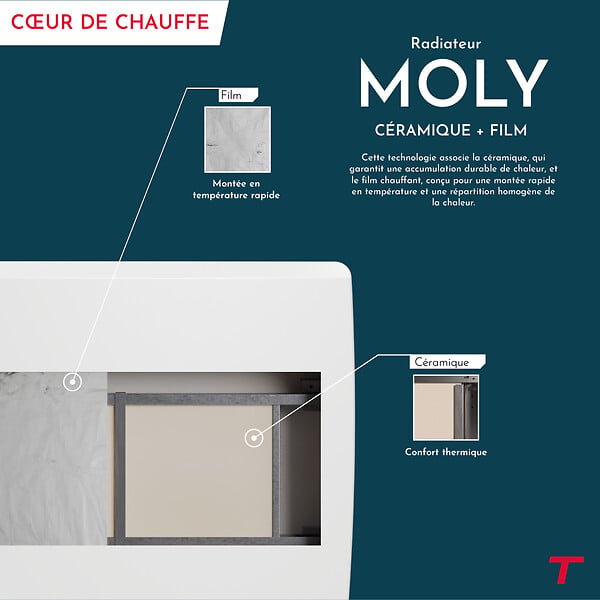 THOMSON - Radiateur électrique fixe inertie sèche - Double cœur de chauffe - THOMSON - MOLY 1500W - Connecté WiFi - horizontal blanc - NF - large
