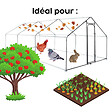 WERKAPRO - Filet de protection multifonction 100g/m2  6 x 10 m - vignette