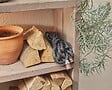 GARDENA - Kit tuyau Liano™Life 20m, Ø 13mm + pièces GARDENA System - léger et résistant - vignette