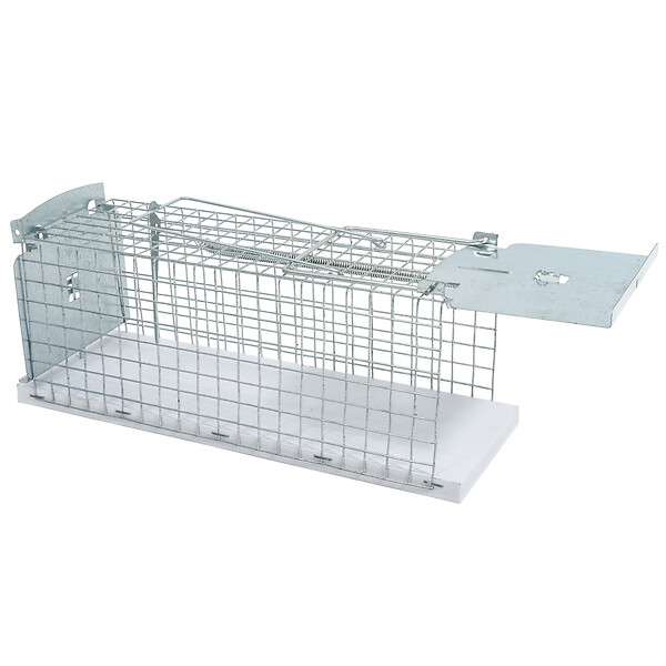 WINDHAGER - Nasse pour rats et souris - large