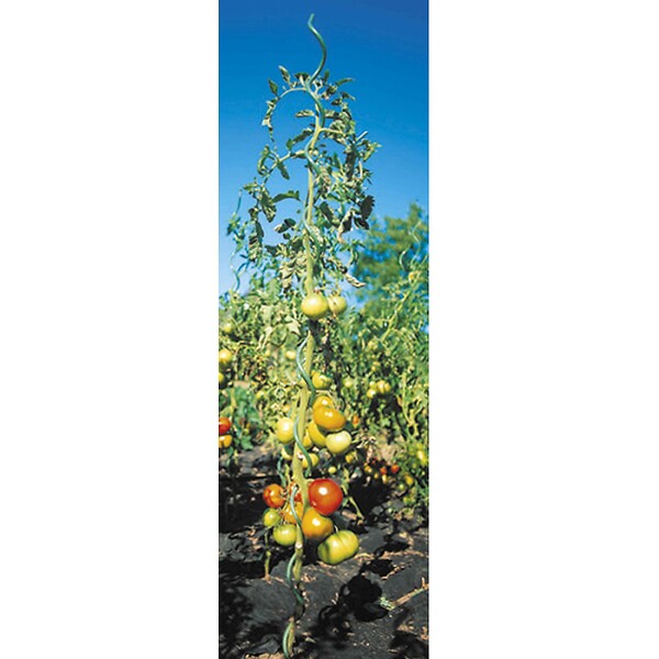 WERKAPRO - Lot 5 Tuteurs Spirales Verts  1,8m Werkapro En Acier - large