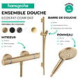 HANSGROHE - Pack mitigeur douche thermostatique Ecostat Comfort + Barre Unica + flexible + Pommeau Raindance 3 jets aspect doré poli - vignette