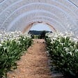 RIBIMEX - Bâche de protection 2x3 m 160 g/m2 - vignette