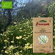 ASSOCIATION KOKOPELLI - Cosmos jaune Xanthos- Graines bio à semer - vignette
