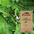 ASSOCIATION KOKOPELLI - Bardane Tokinogawa Long- Graines bio à semer - vignette