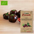 ASSOCIATION KOKOPELLI - Poivron Miniature Chocolate Bell- Graines bio à semer - vignette