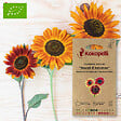 ASSOCIATION KOKOPELLI - Tournesol à Fleurs Beauté d'Automne- Graines bio à semer - vignette