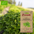 ASSOCIATION KOKOPELLI - Basilic Petit Marseillais- Graines bio à semer - vignette