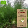 ASSOCIATION KOKOPELLI - Fenouil de Florence Perfection- Graines bio à semer - vignette
