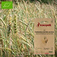 ASSOCIATION KOKOPELLI - Blé Ondulations de Blés Anciens- Graines bio à semer - vignette
