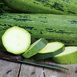 ARBORIX - Courgette Cocozelle - Ca. 1 gr (Livraison Gratuite) - vignette