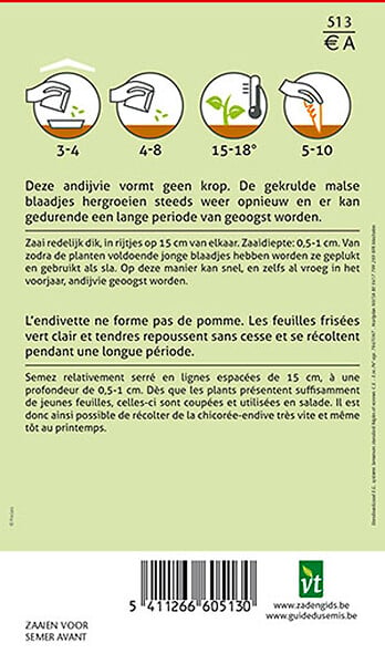 ARBORIX - Chicorée à Couper Endivette - Ca. 3 gr (Livraison Gratuite) - large