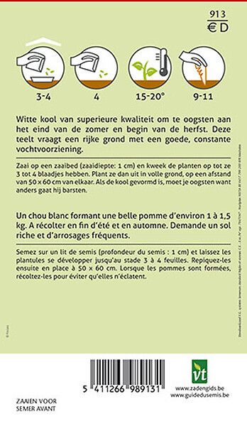 ARBORIX - Chou Blanc Consul F1 Hybride - Ca. 0,3 gr (Livraison Gratuite) - large