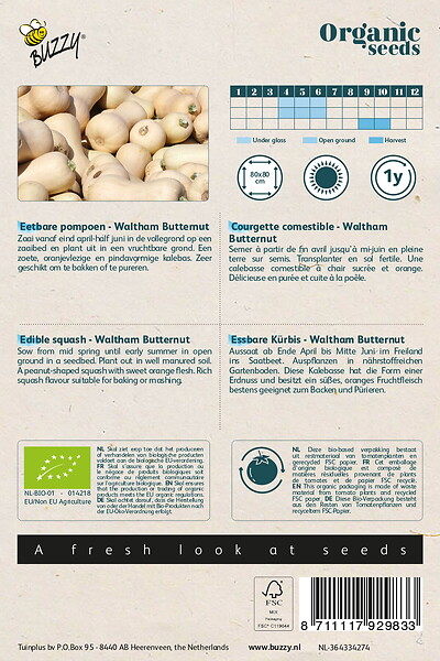 ARBORIX - Buzzy Organic Courgette comestible Waltham Butternut - Bio Semences - Ca. 2 gr (Livraison Gratuite) - large