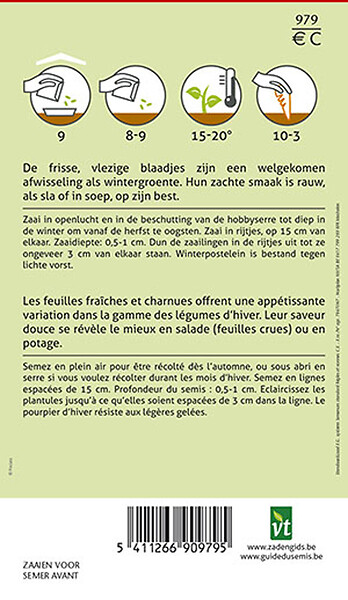 ARBORIX - Pourpier D'Hiver - Ca. 0,75 gr (Livraison Gratuite) - large
