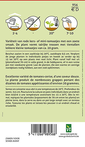 ARBORIX - Tomate Sweetie - Ca. 0,5 gr (Livraison Gratuite) - large