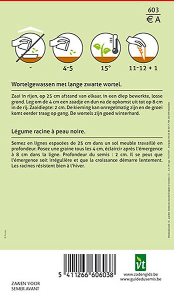 ARBORIX - Scorsonère Géante Améliorée - Ca. 5 gr (Livraison Gratuite) - large