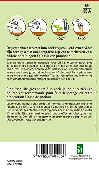 ARBORIX - Potiron Jaune Gros - Ca. 3 gr (Livraison Gratuite) - large