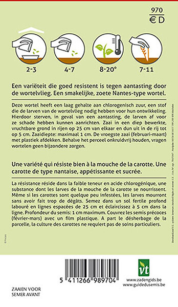 ARBORIX - Carottes Flyaway F1 Hybride - Ca. 2 gr (Livraison Gratuite) - large